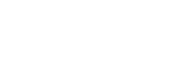 Logo RuZGZV